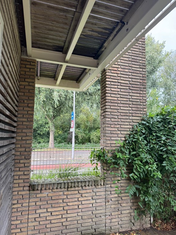 GARDEN SIDE VIEW.jpg